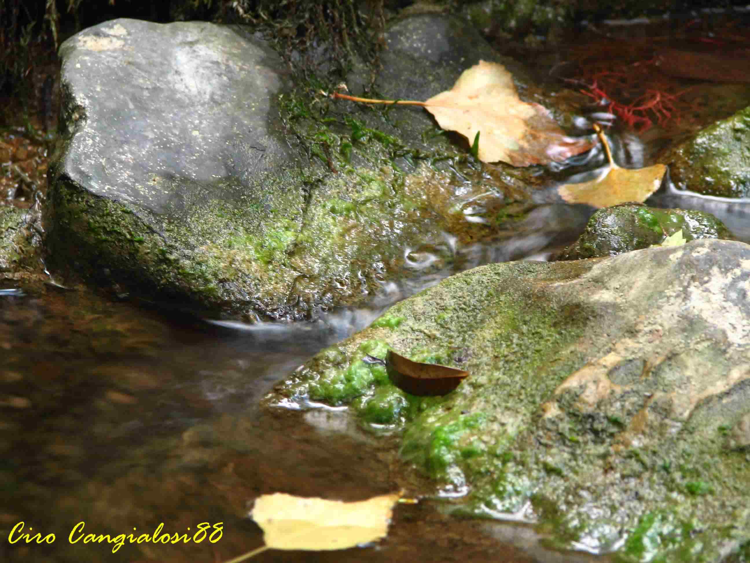 Il movimento dell''acqua